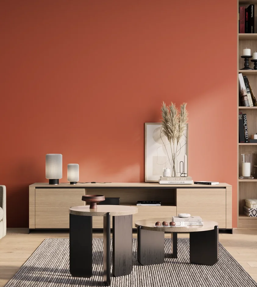 P10_SNIEZKA_salon_01_poranek_GREY_RAL2012