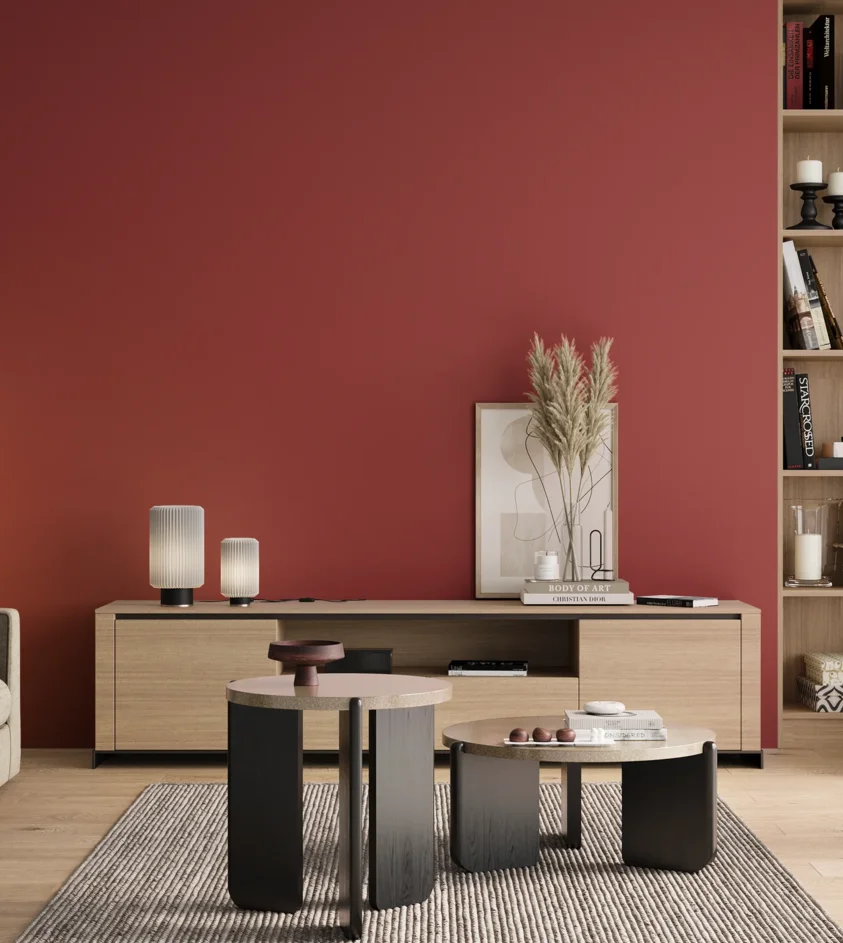 P10_SNIEZKA_salon_00_neutral_GREY_RAL3031