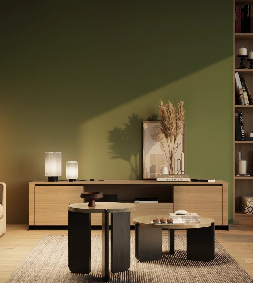 P10_SNIEZKA_salon_03_wieczor_GREY_RAL6001