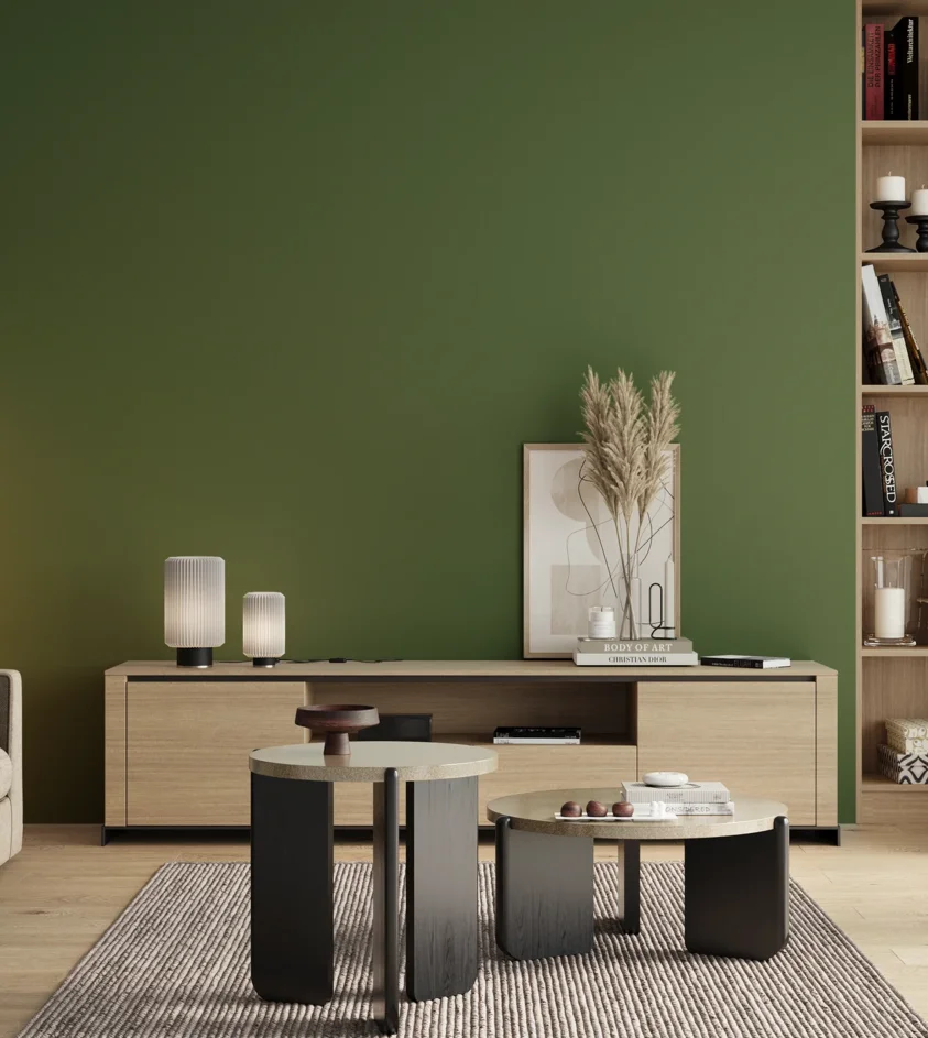 P10_SNIEZKA_salon_00_neutral_GREY_RAL6010
