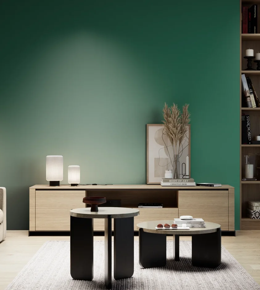 P10_SNIEZKA_salon_05_zimne_GREY_RAL6016