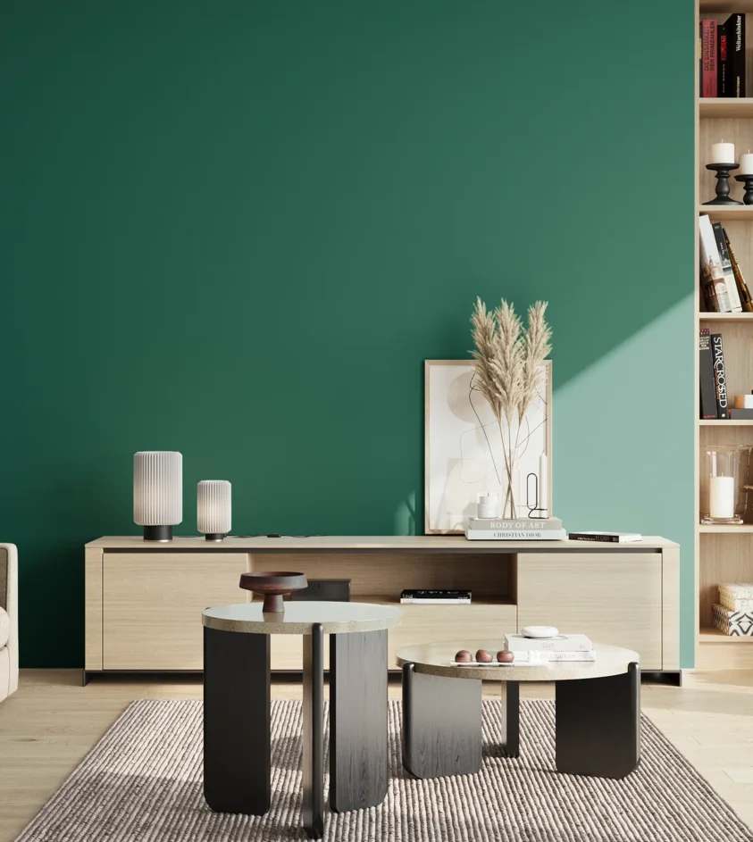 P10_SNIEZKA_salon_02_poludnie_GREY_RAL6026