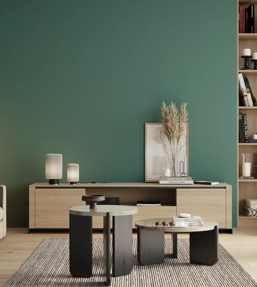 P10_SNIEZKA_salon_00_neutral_GREY_RAL6033