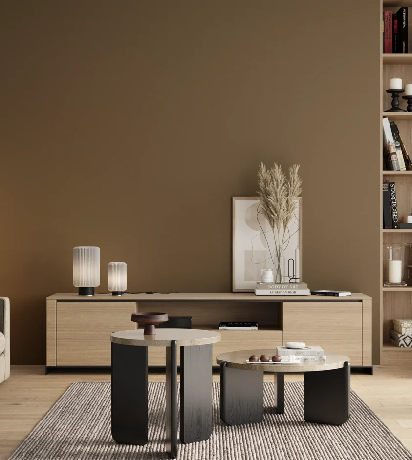 P10_SNIEZKA_salon_00_neutral_GREY_RAL7008