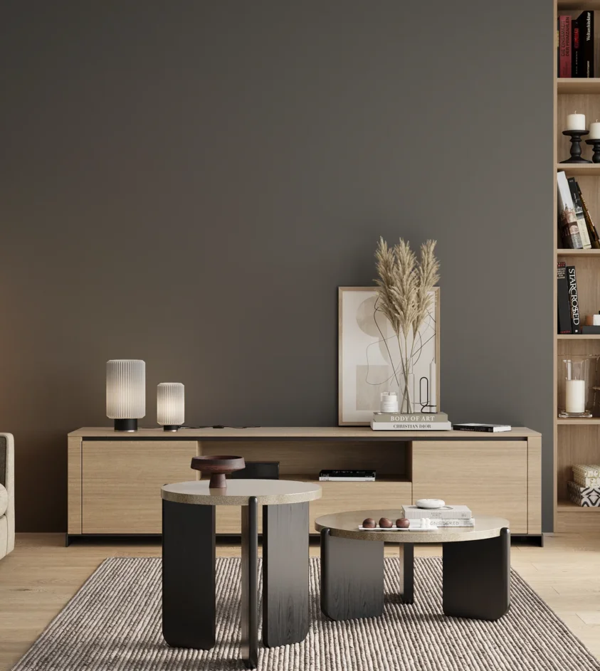 P10_SNIEZKA_salon_00_neutral_GREY_RAL7012