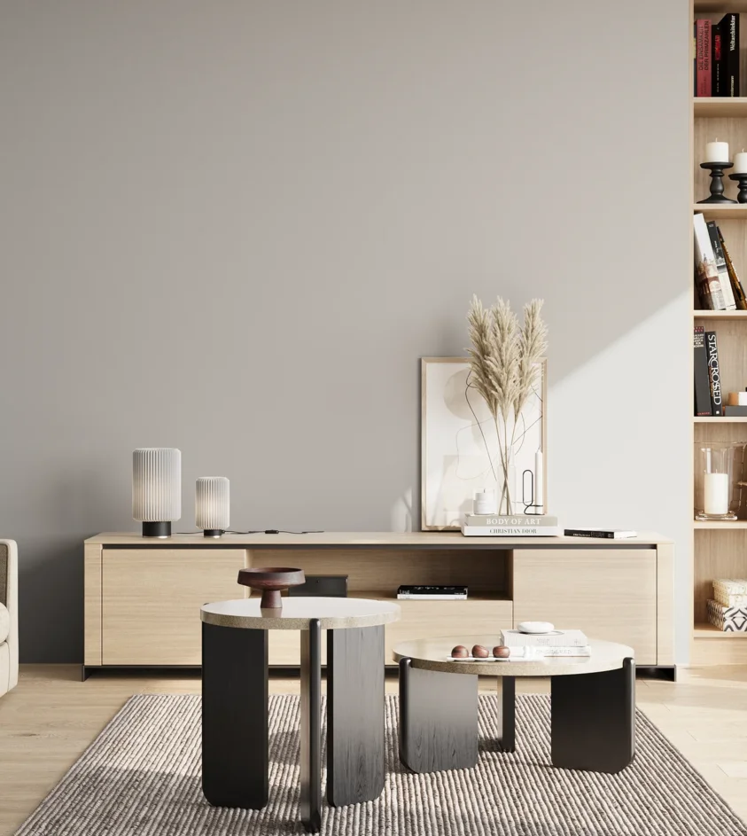 P10_SNIEZKA_salon_02_poludnie_GREY_RAL7047