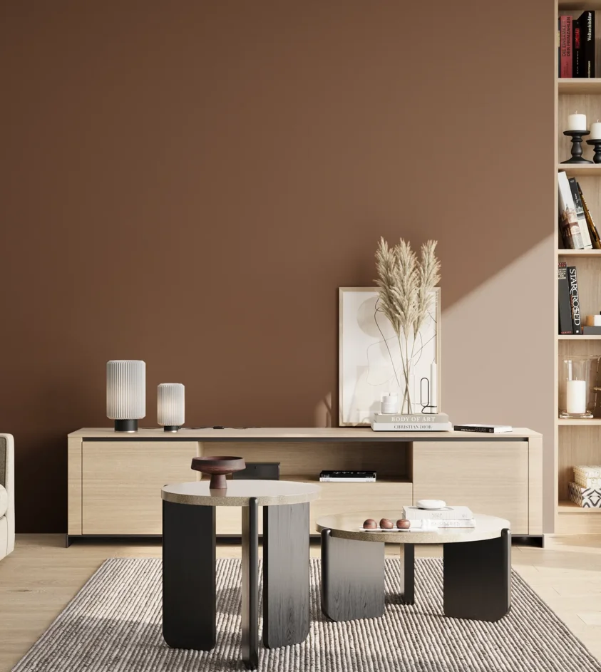 P10_SNIEZKA_salon_02_poludnie_GREY_RAL8007