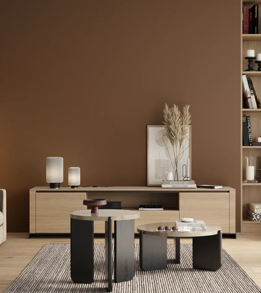 P10_SNIEZKA_salon_00_neutral_GREY_RAL8008