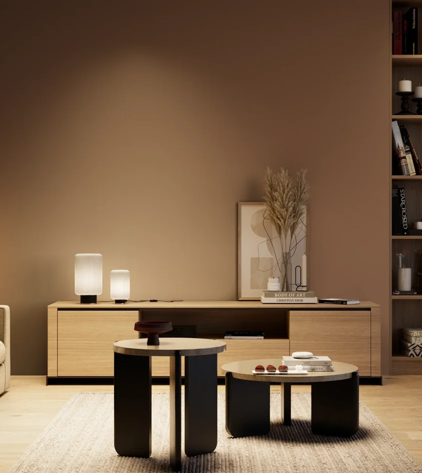 P10_SNIEZKA_salon_04_cieple_GREY_RAL8024