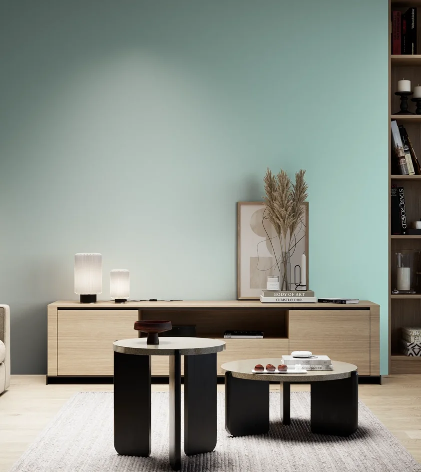 P10_SNIEZKA_salon_05_zimne_GREY_S0520-B60G