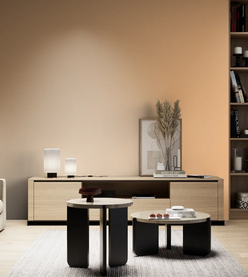 P10_SNIEZKA_salon_05_zimne_GREY_S0530-Y40R