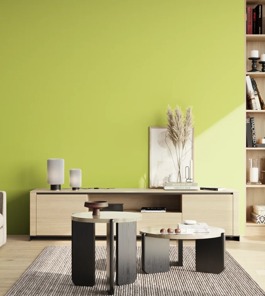 P10_SNIEZKA_salon_02_poludnie_GREY_S0550-G60Y
