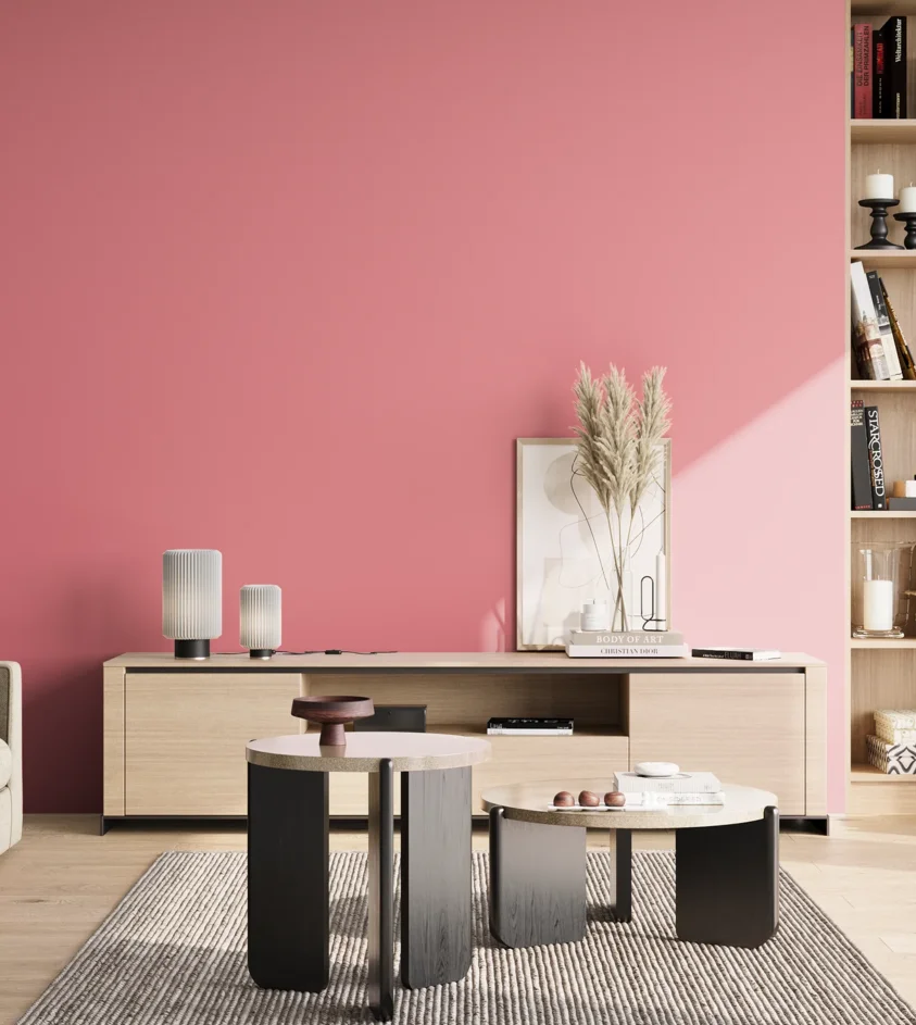 P10_SNIEZKA_salon_02_poludnie_GREY_S0550-R10B