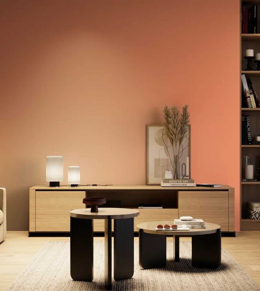 P10_SNIEZKA_salon_04_cieple_GREY_S0550-Y70R