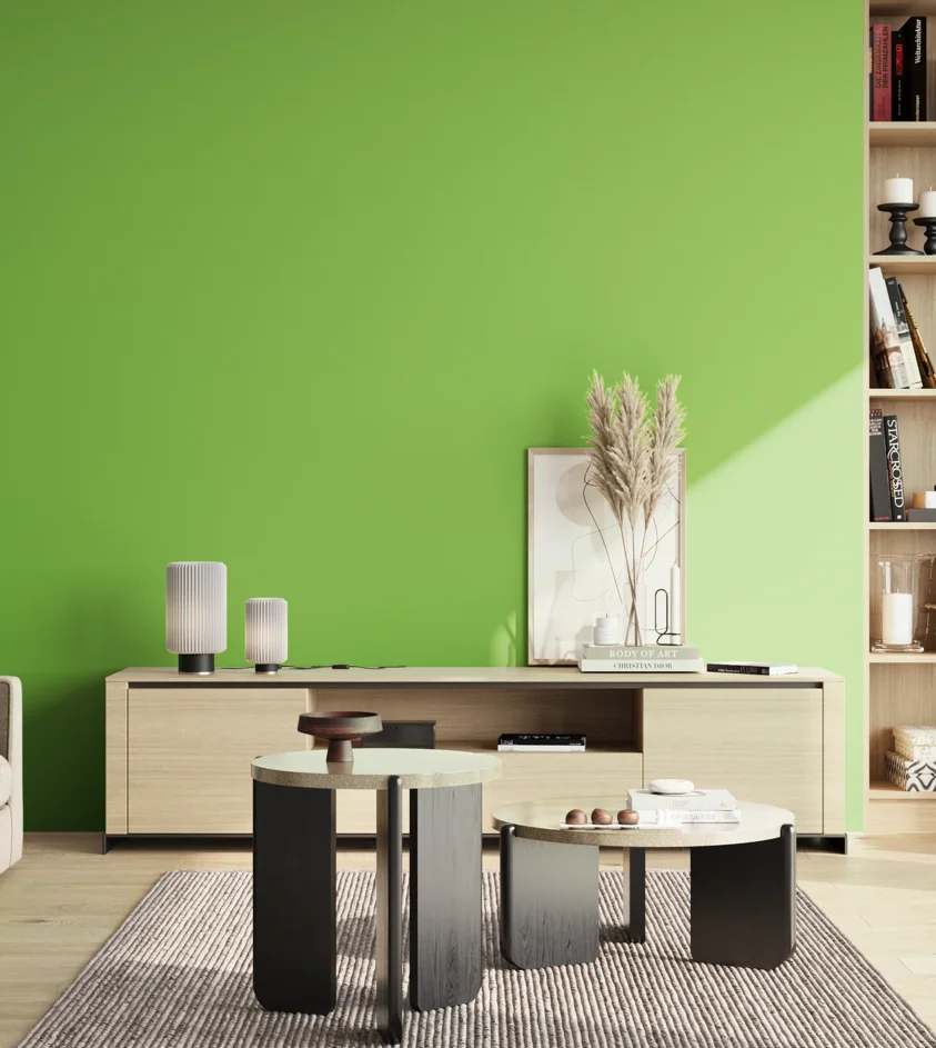 P10_SNIEZKA_salon_02_poludnie_GREY_S0570-G30Y