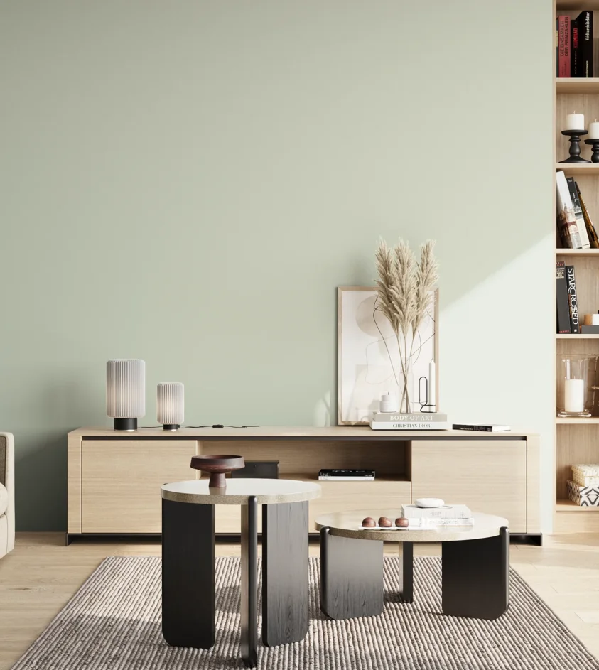 P10_SNIEZKA_salon_02_poludnie_GREY_S0907-G20Y