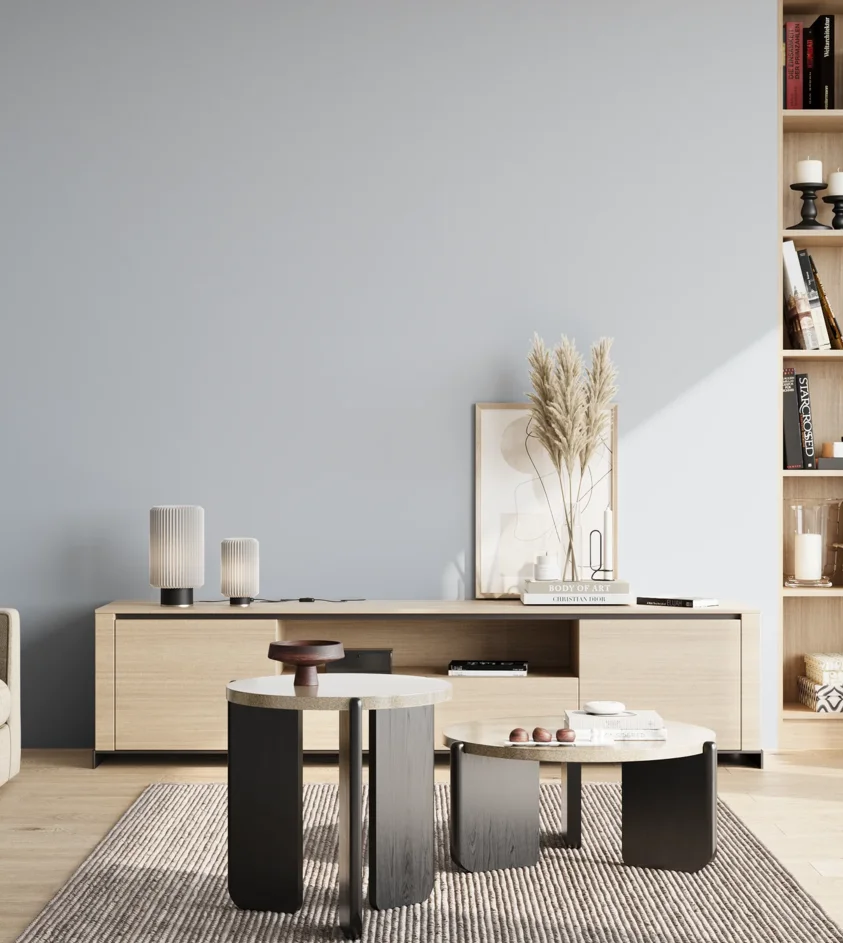 P10_SNIEZKA_salon_02_poludnie_GREY_S1010-R80B