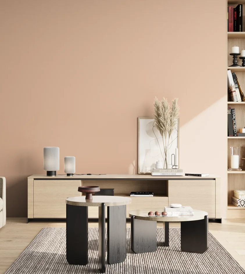P10_SNIEZKA_salon_02_poludnie_GREY_S1015-Y60R