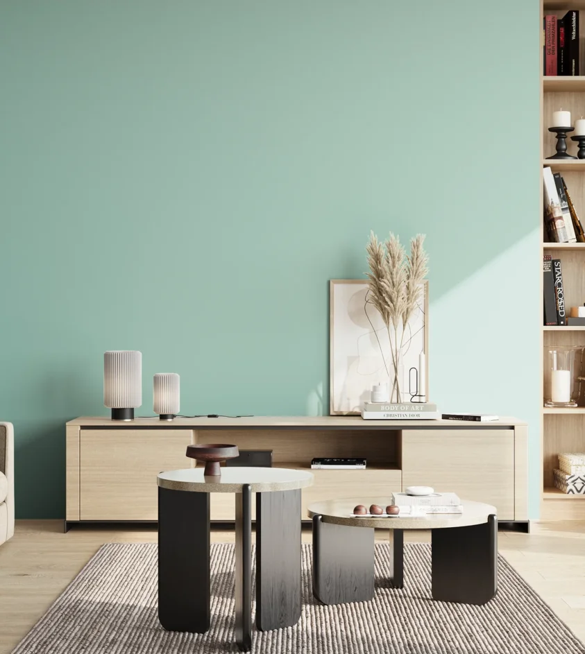 P10_SNIEZKA_salon_02_poludnie_GREY_S1020-B70G