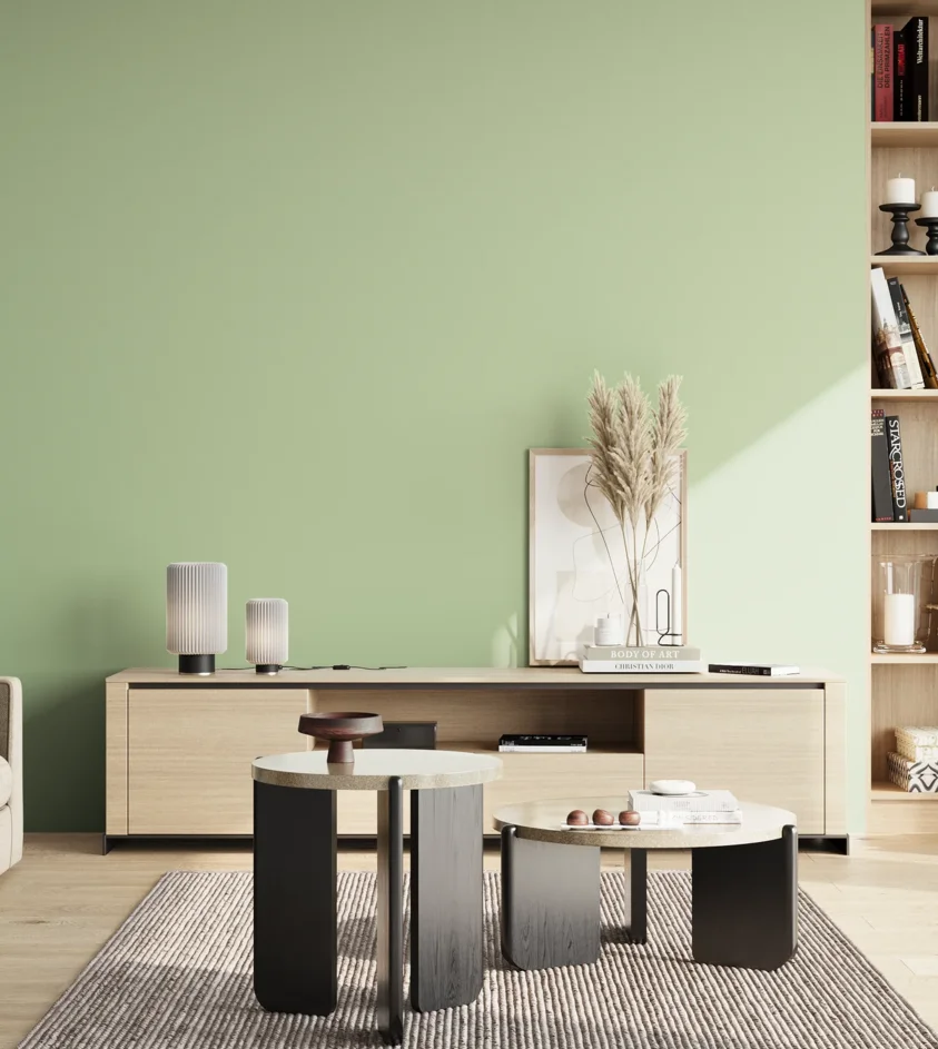 P10_SNIEZKA_salon_02_poludnie_GREY_S1020-G30Y