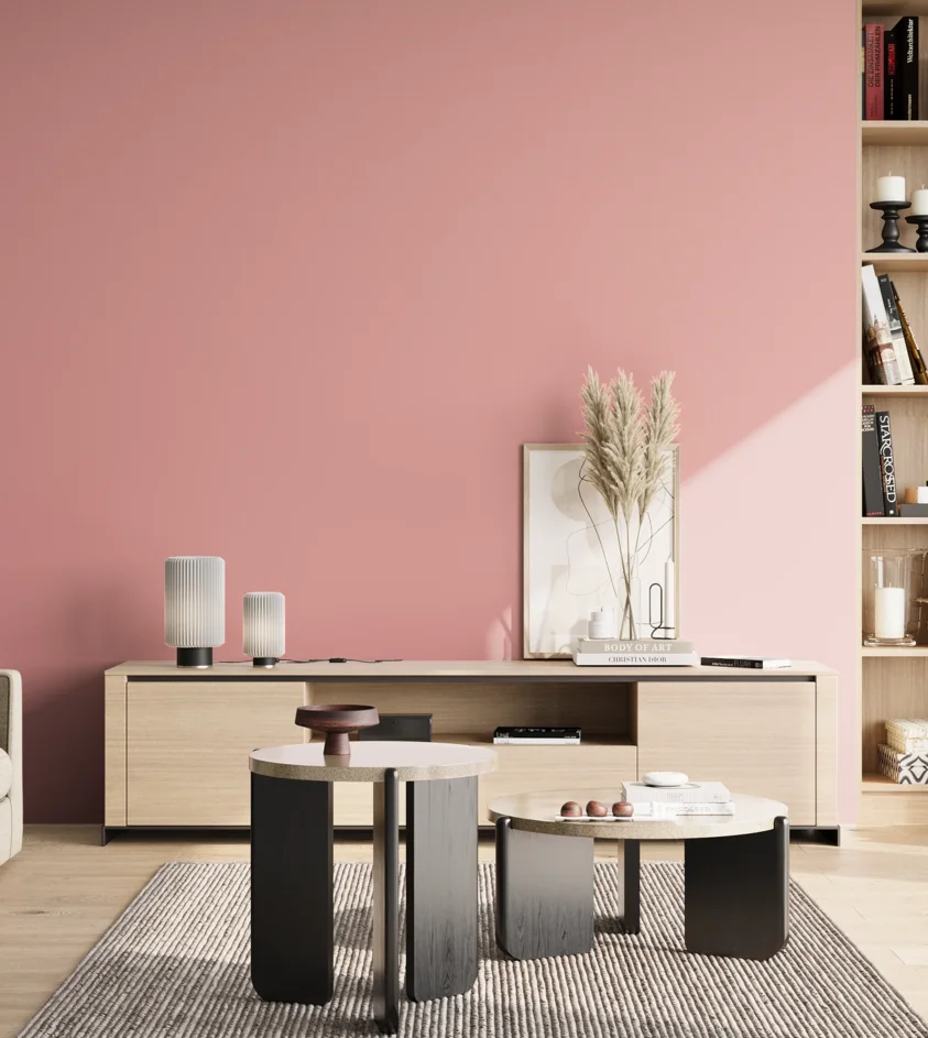 P10_SNIEZKA_salon_02_poludnie_GREY_S1030-R