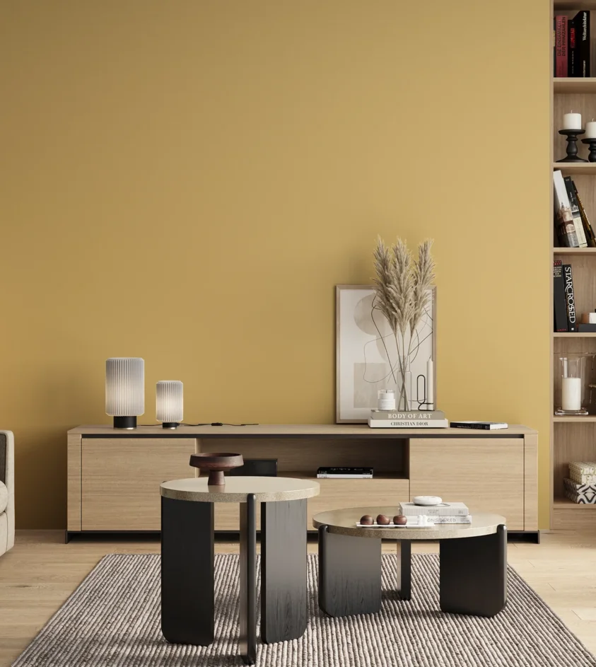 P10_SNIEZKA_salon_00_neutral_GREY_S1030-Y10R