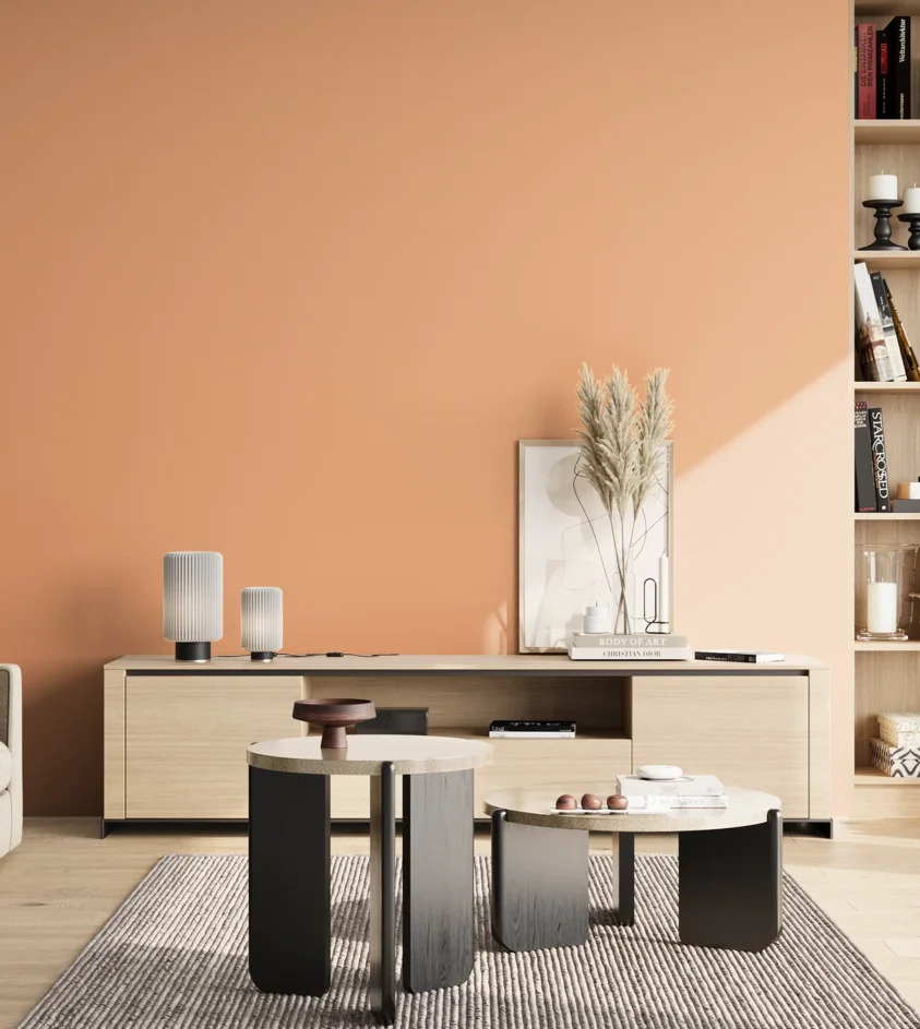 P10_SNIEZKA_salon_02_poludnie_GREY_S1030-Y50R
