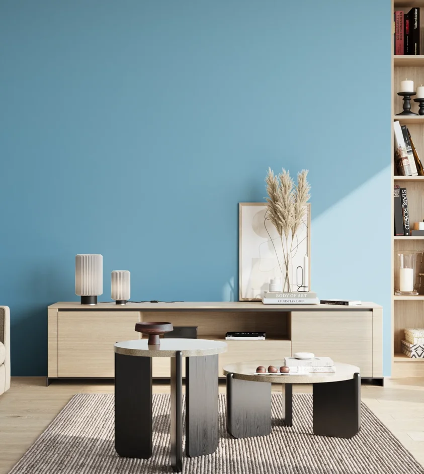 P10_SNIEZKA_salon_02_poludnie_GREY_S1040-B