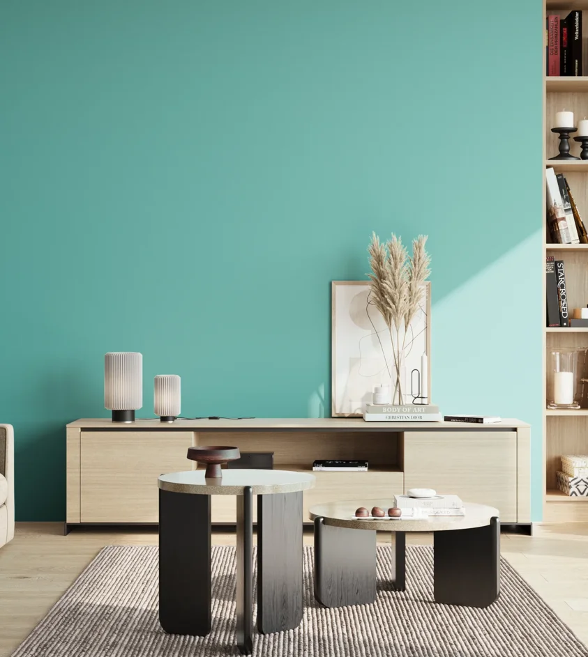 P10_SNIEZKA_salon_02_poludnie_GREY_S1040-B50G