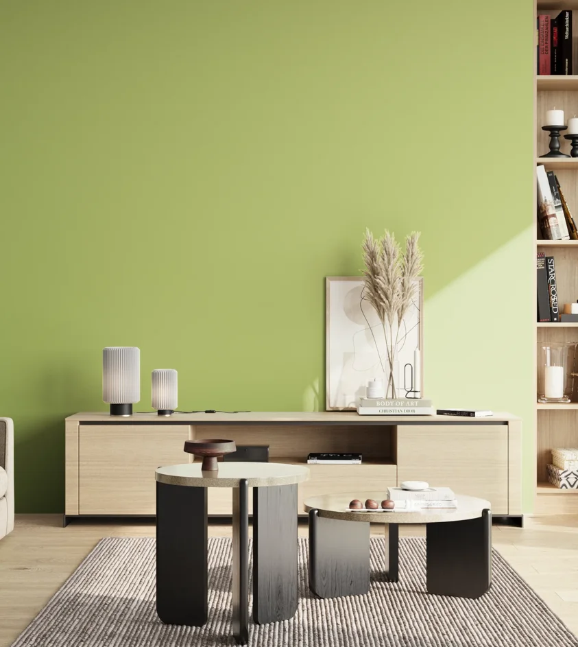 P10_SNIEZKA_salon_02_poludnie_GREY_S1040-G50Y