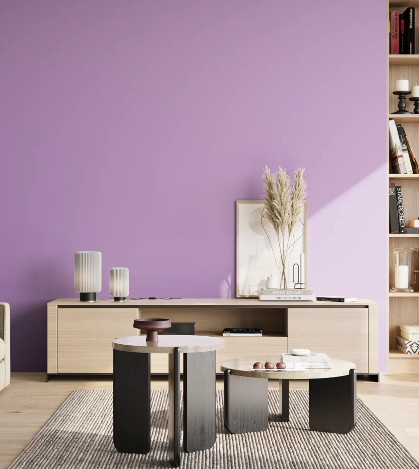 P10_SNIEZKA_salon_02_poludnie_GREY_S1040-R50B
