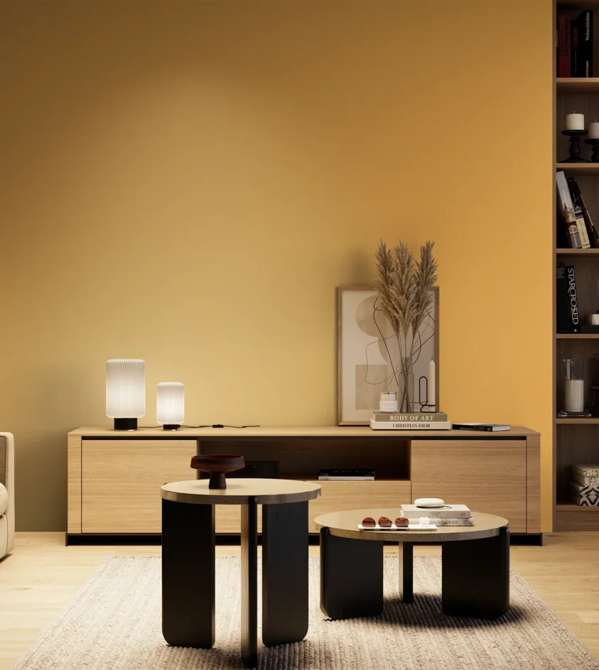 P10_SNIEZKA_salon_04_cieple_GREY_S1050-Y20R