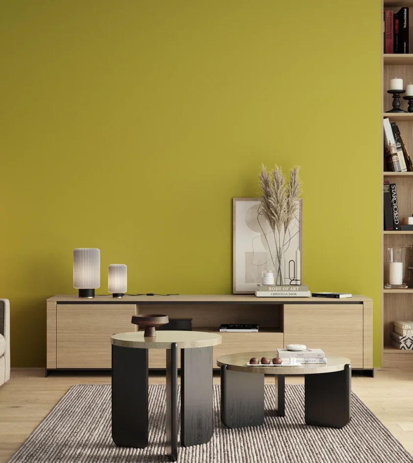 P10_SNIEZKA_salon_00_neutral_GREY_S1060-G80Y