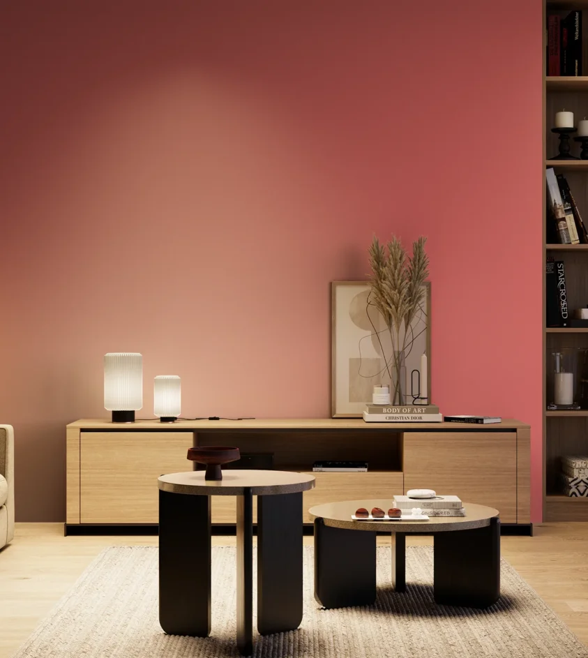 P10_SNIEZKA_salon_04_cieple_GREY_S1060-R