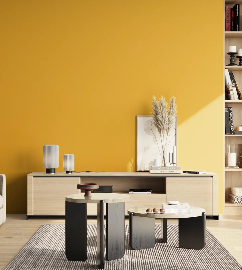 P10_SNIEZKA_salon_02_poludnie_GREY_S1070-Y10R