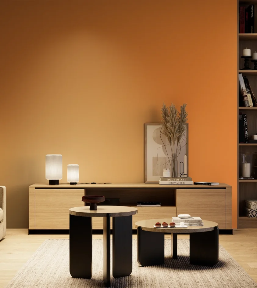 P10_SNIEZKA_salon_04_cieple_GREY_S1070-Y40R