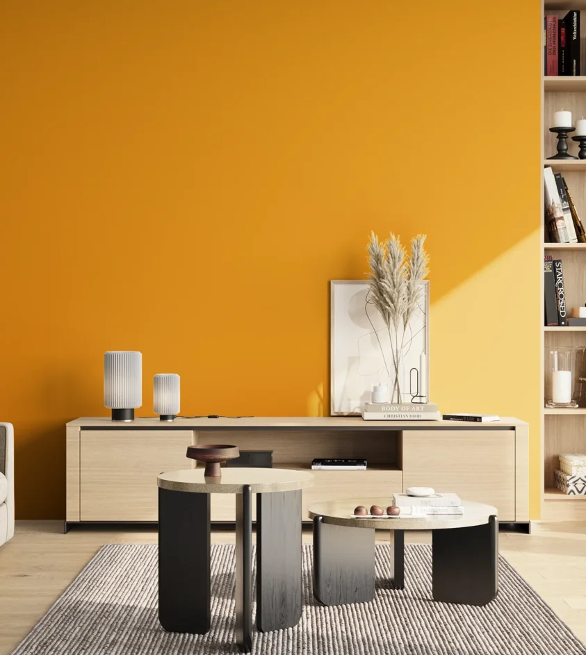 P10_SNIEZKA_salon_02_poludnie_GREY_S1080-Y20R