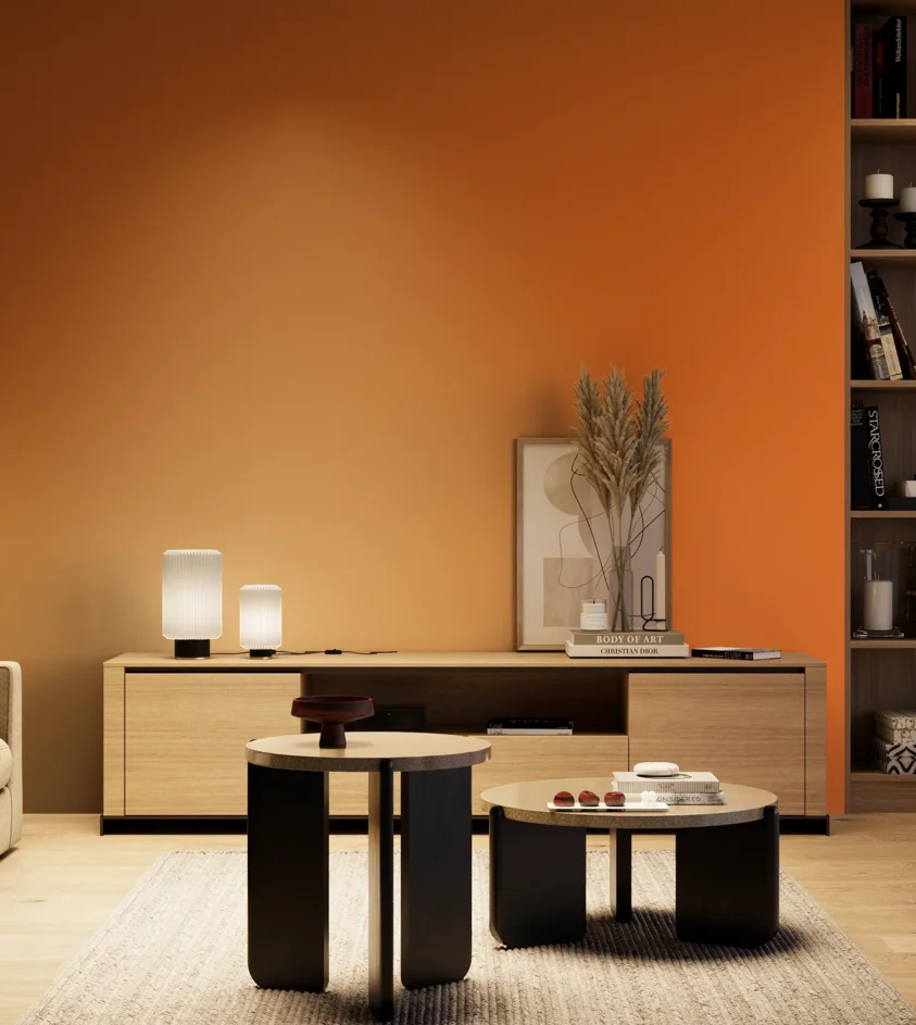 P10_SNIEZKA_salon_04_cieple_GREY_S1080-Y50R