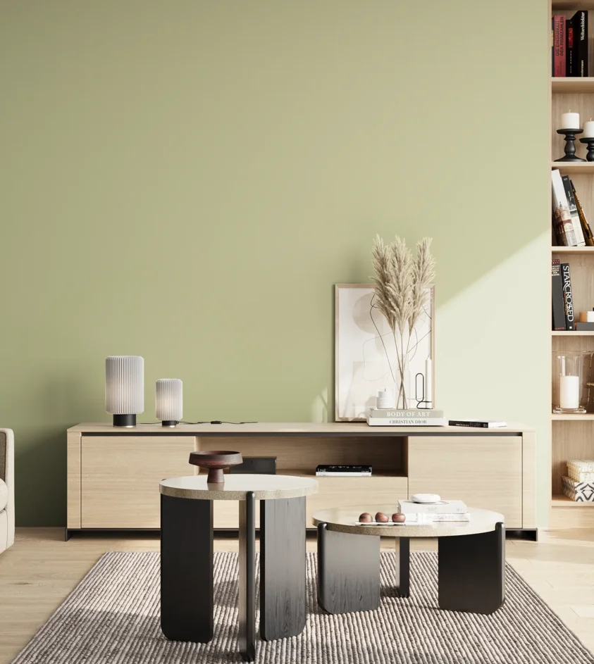 P10_SNIEZKA_salon_02_poludnie_GREY_S1515-G60Y