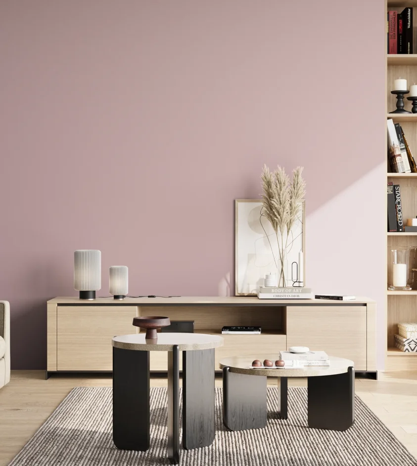 P10_SNIEZKA_salon_02_poludnie_GREY_S1515-R20B