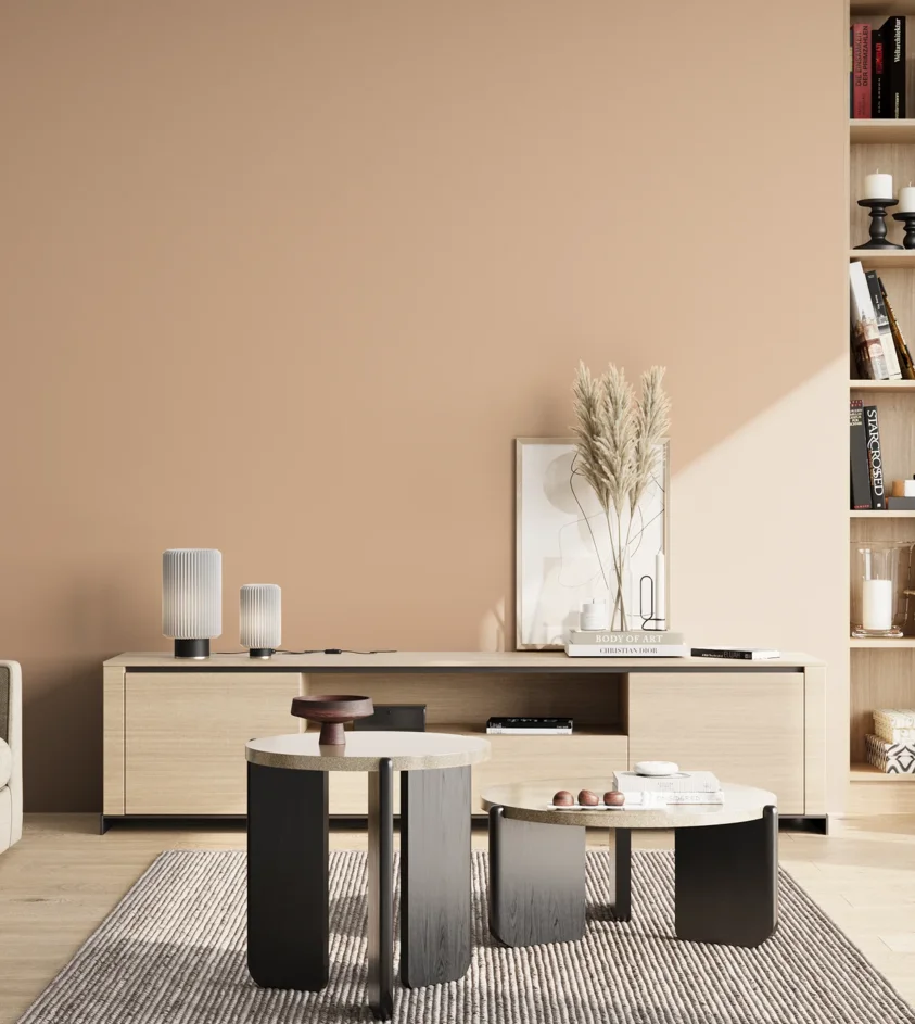 P10_SNIEZKA_salon_02_poludnie_GREY_S1515-Y50R