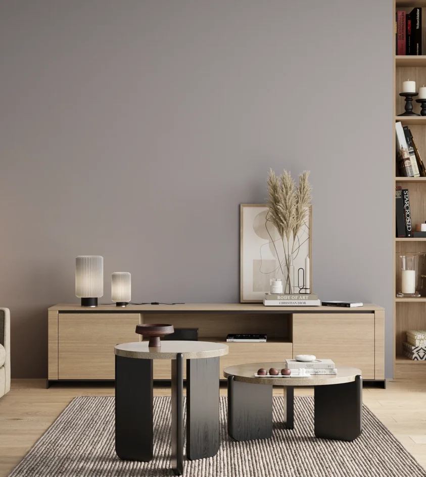 P10_SNIEZKA_salon_00_neutral_GREY_S2005-R60B