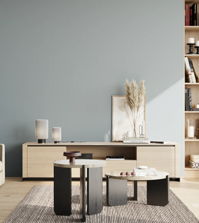 P10_SNIEZKA_salon_02_poludnie_GREY_S2010-B
