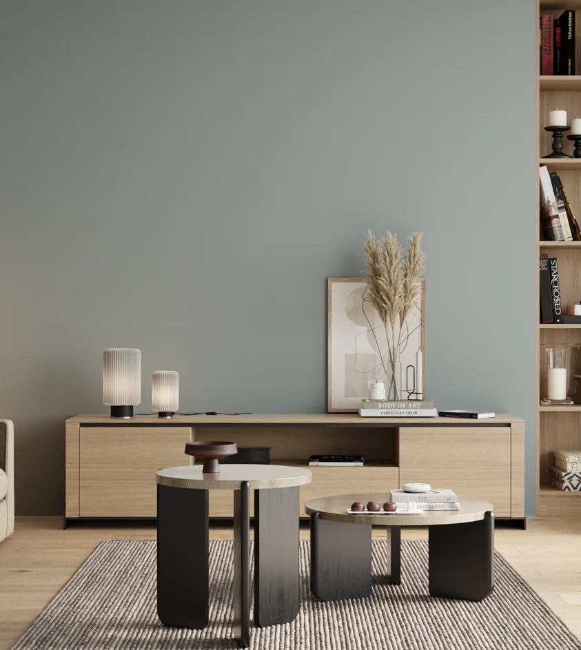 P10_SNIEZKA_salon_00_neutral_GREY_S2010-B10G