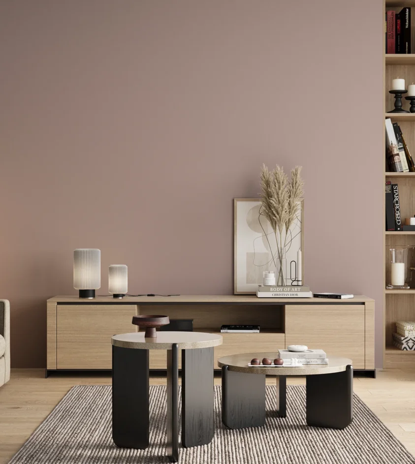P10_SNIEZKA_salon_00_neutral_GREY_S2010-R
