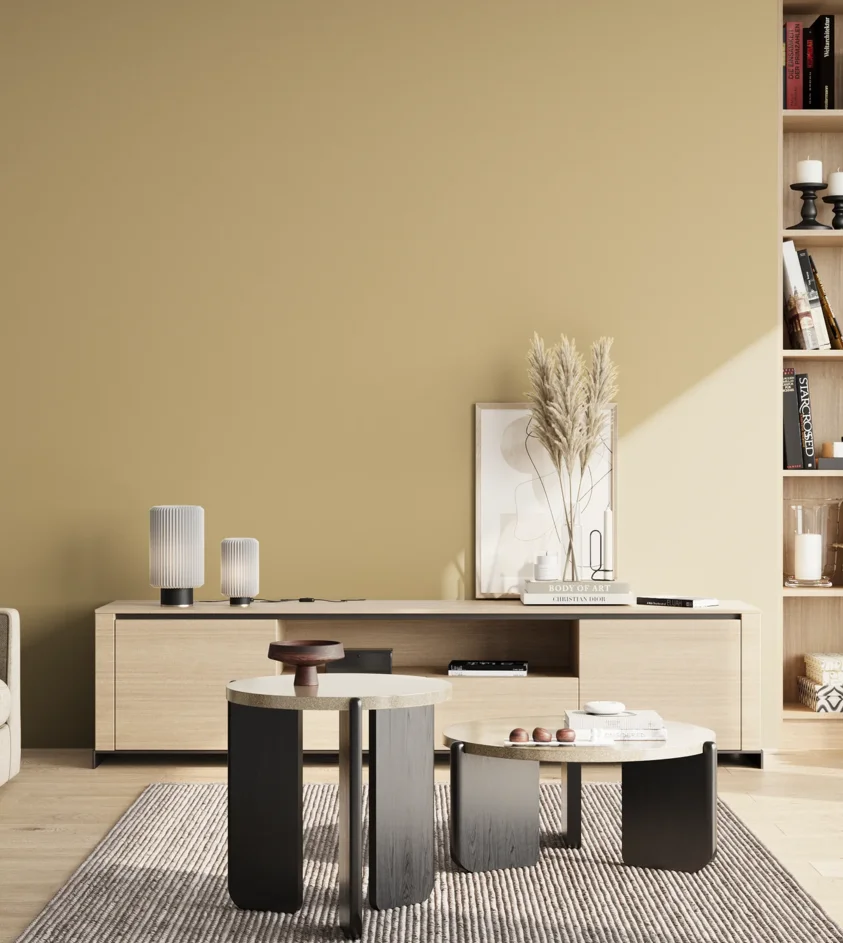 P10_SNIEZKA_salon_02_poludnie_GREY_S2020-Y10R