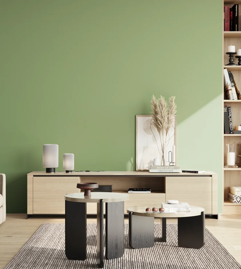 P10_SNIEZKA_salon_02_poludnie_GREY_S2030-G30Y