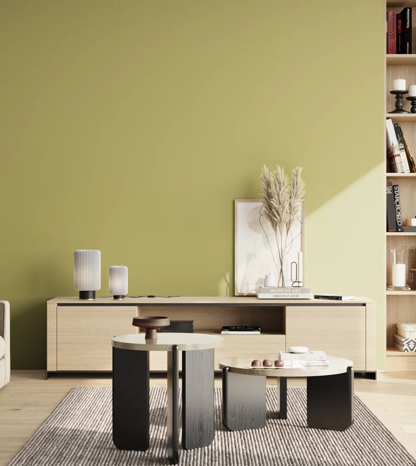 P10_SNIEZKA_salon_02_poludnie_GREY_S2030-G80Y