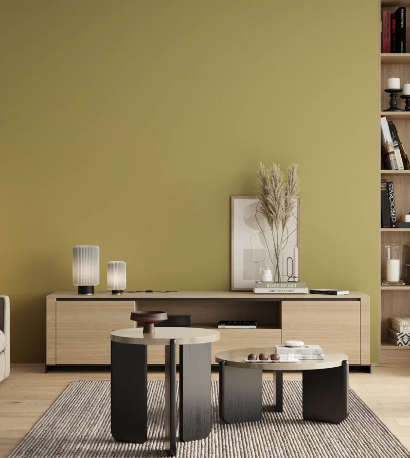 P10_SNIEZKA_salon_00_neutral_GREY_S2030-G90Y