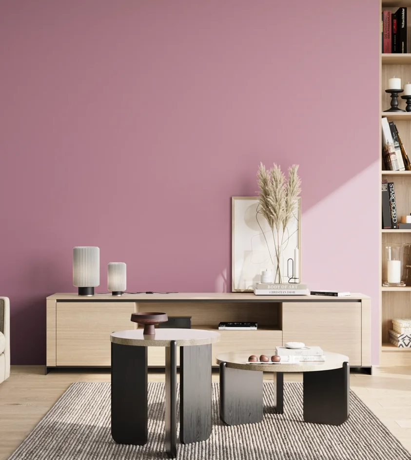 P10_SNIEZKA_salon_02_poludnie_GREY_S2030-R30B
